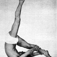 x-1511926175-3104